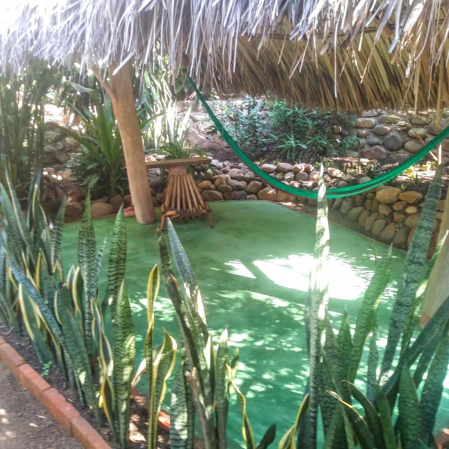 Posada Olivo Mazunte Exterior foto