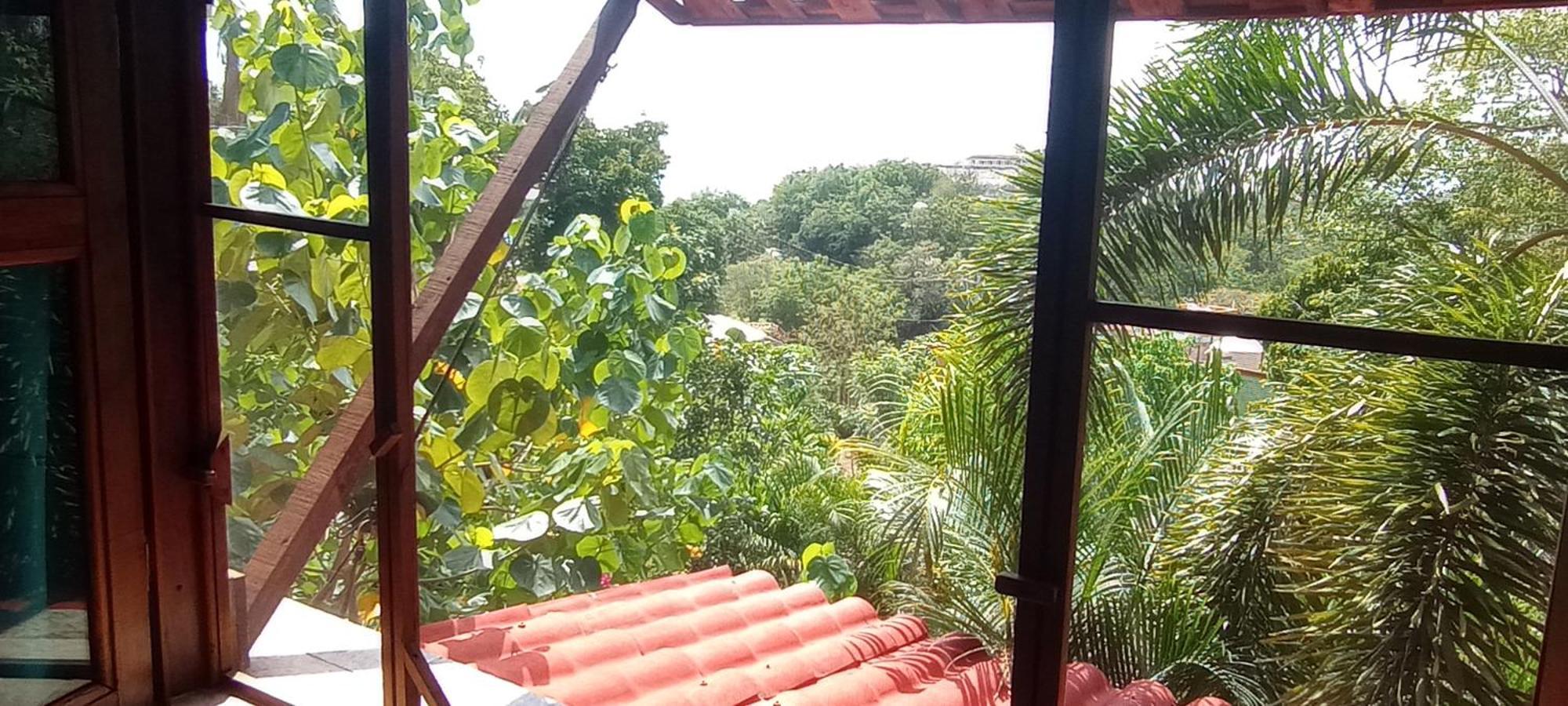 Posada Olivo Mazunte Exterior foto